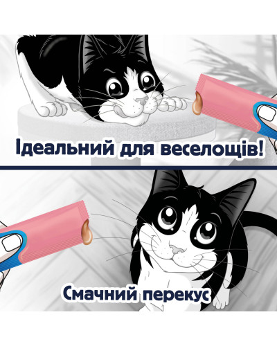 Влажный дополнительный корм FELIX Вкусные моменты для взрослых кошек, с лососем, 4х10 г