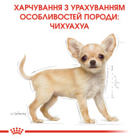 Корм для цуценят породи Чихуахуа ROYAL CANIN CHIHUAHUA PUPPY 500 г