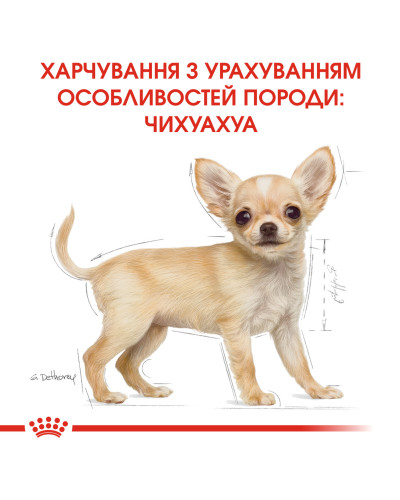 Корм для щенков породы Чихуахуа ROYAL CANIN CHIHUAHUA PUPPY 500 г