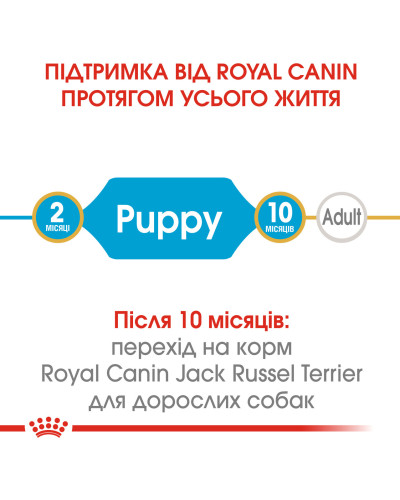 Корм для цуценят породи Джек-Рассел-тер'єр ROYAL CANIN JACK RUSSEL PUPPY 1.5 кг