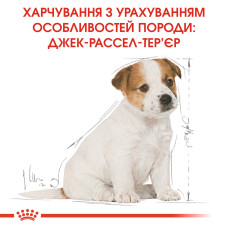 Корм для цуценят породи Джек-Рассел-тер'єр ROYAL CANIN JACK RUSSEL PUPPY 1.5 кг
