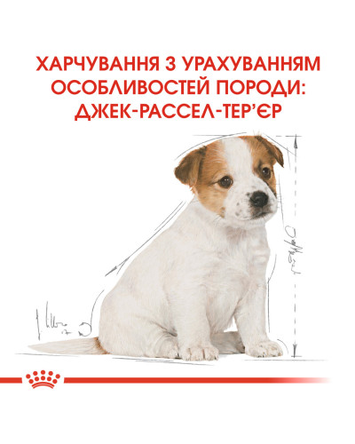 Корм для цуценят породи Джек-Рассел-тер'єр ROYAL CANIN JACK RUSSEL PUPPY 1.5 кг