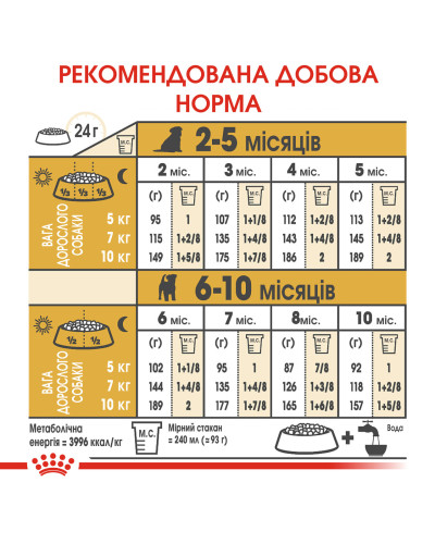 Корм для цуценят породи Джек-Рассел-тер'єр ROYAL CANIN JACK RUSSEL PUPPY 1.5 кг