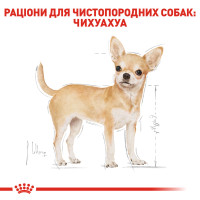Корм для дорослих собак ROYAL CANIN CHIHUAHUA ADULT 3 кг
