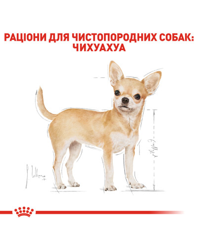 Корм для дорослих собак породи Чихуахуа ROYAL CANIN CHIHUAHUA ADULT 500 г
