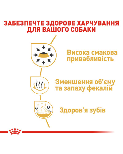 Корм для дорослих собак породи Чихуахуа ROYAL CANIN CHIHUAHUA ADULT 500 г