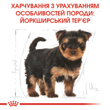 Корм для щенков Йоркшир-терьер ROYAL CANIN YORKSHIRE PUPPY 1.5 кг