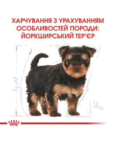 Корм для щенков Йоркшир-терьер ROYAL CANIN YORKSHIRE PUPPY 1.5 кг