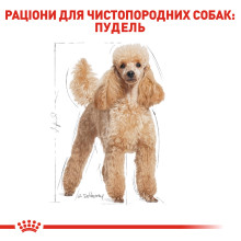 Корм для дорослих собак породи Пудель ROYAL CANIN POODLE ADULT 1.5 кг