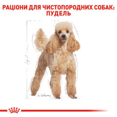 Корм для взрослых собак породы Пудель ROYAL CANIN POODLE ADULT 1.5 кг