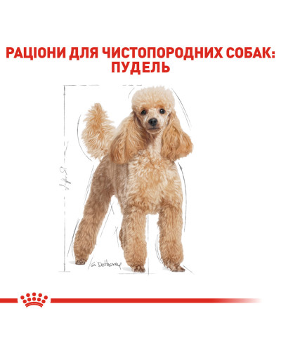 Корм для дорослих собак породи Пудель ROYAL CANIN POODLE ADULT 500 г