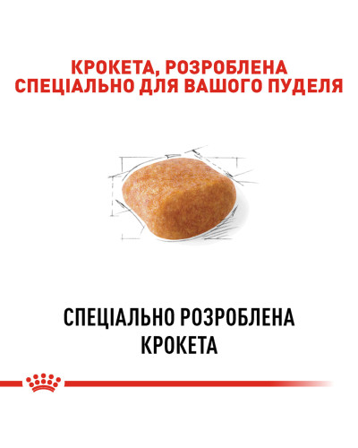 Корм для дорослих собак породи Пудель ROYAL CANIN POODLE ADULT 500 г