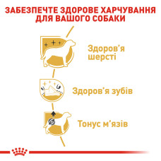 Корм для взрослых собак породы Пудель ROYAL CANIN POODLE ADULT 1.5 кг
