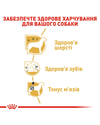 Корм для дорослих собак породи Пудель ROYAL CANIN POODLE ADULT 500 г