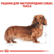 Корм для взрослых собак породы ROYAL CANIN DACHSHUND ADULT 1.5 кг