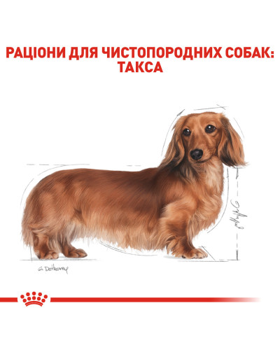 Корм для дорослих собак породи Такса ROYAL CANIN DACHSHUND ADULT 1.5 кг