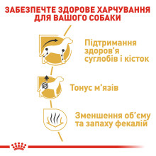 Корм для дорослих собак породи Такса ROYAL CANIN DACHSHUND ADULT 1.5 кг