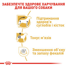 Корм для взрослых собак породы ROYAL CANIN DACHSHUND ADULT 1.5 кг