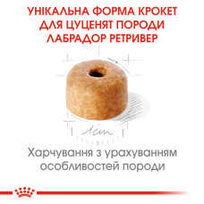 Корм для щенков ROYAL CANIN LABRADOR PUPPY 12 кг