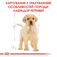 Корм для цуценят ROYAL CANIN LABRADOR PUPPY 12 кг