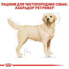 Корм для взрослых собак породы Лабрадор-ретривер ROYAL CANIN LABRADOR ADULT 12 кг