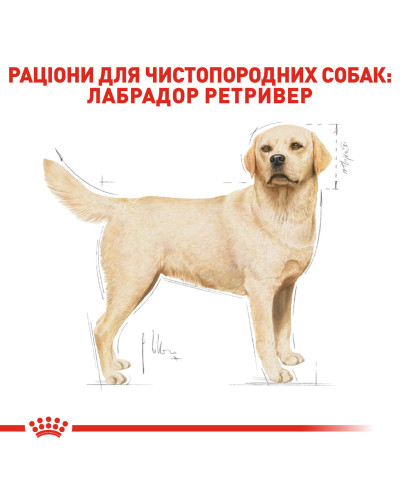 Корм для дорослих собак породи Лабрадор-ретривер ROYAL CANIN LABRADOR ADULT 12 кг