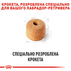 Корм для взрослых собак породы Лабрадор-ретривер ROYAL CANIN LABRADOR ADULT 12 кг