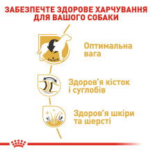 Корм для взрослых собак породы Лабрадор-ретривер ROYAL CANIN LABRADOR ADULT 12 кг
