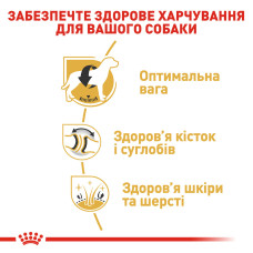 Корм для взрослых собак породы Лабрадор-ретривер ROYAL CANIN LABRADOR ADULT 12 кг