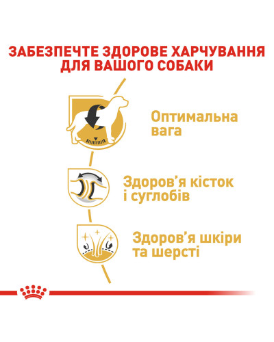 Корм для дорослих собак породи Лабрадор-ретривер ROYAL CANIN LABRADOR ADULT 12 кг