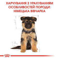 Корм для щенков ROYAL CANIN GERMAN SHEPHERD PUPPY 3 кг