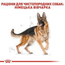 Корм для взрослых собак породы Немецкая Овчарка ROYAL CANIN GERMAN SHEPHERD ADULT 11 кг