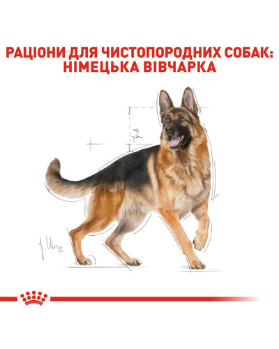 Корм для дорослих собак породи Німецька Вівчарка ROYAL CANIN GERMAN SHEPHERD ADULT 11 кг