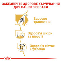 Корм для дорослих собак породи Німецька Вівчарка ROYAL CANIN GERMAN SHEPHERD ADULT 11 кг