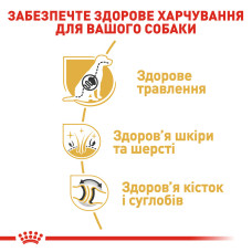 Корм для взрослых собак породы Немецкая Овчарка ROYAL CANIN GERMAN SHEPHERD ADULT 11 кг