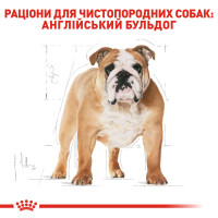 Корм для собак породи Англійський бульдог ROYAL CANIN BULLDOG ADULT 12 кг