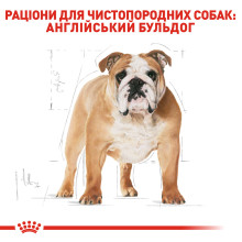 Корм для собак породы Английский бульдог ROYAL CANIN BULLDOG ADULT 12 кг