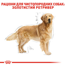 Корм для взрослых собак породы Золотистый ретривер ROYAL CANIN GOLDEN RETRIEVER ADULT 12 кг