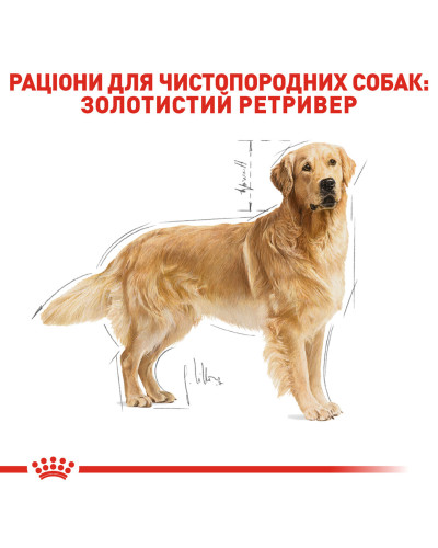 Корм для дорослих собак породи Золотистий ретривер ROYAL CANIN GOLDEN RETRIEVER ADULT 12 кг