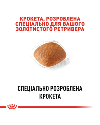 Корм для дорослих собак породи Золотистий ретривер ROYAL CANIN GOLDEN RETRIEVER ADULT 12 кг