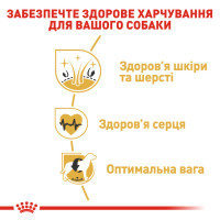 Корм для дорослих собак породи Золотистий ретривер ROYAL CANIN GOLDEN RETRIEVER ADULT 12 кг