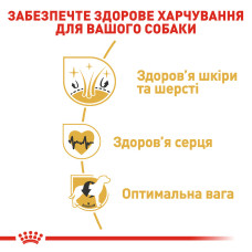 Корм для взрослых собак породы Золотистый ретривер ROYAL CANIN GOLDEN RETRIEVER ADULT 12 кг
