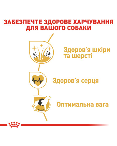 Корм для дорослих собак породи Золотистий ретривер ROYAL CANIN GOLDEN RETRIEVER ADULT 12 кг