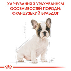 Корм для щенков породы Французский бульдог ROYAL CANIN FRENCH BULLDOG PUPPY 1 кг
