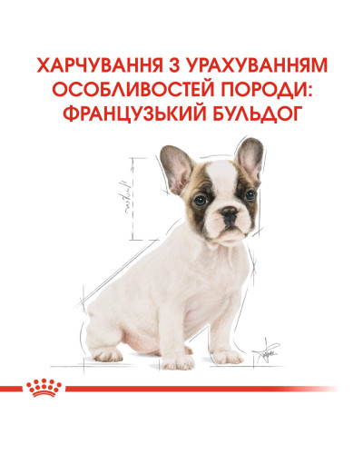Корм для щенков породы Французский бульдог ROYAL CANIN FRENCH BULLDOG PUPPY 1 кг