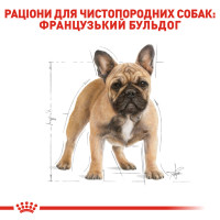 Корм для дорослих собак породи Французький бульдог ROYAL CANIN FRENCH BULLDOG ADULT 3 кг