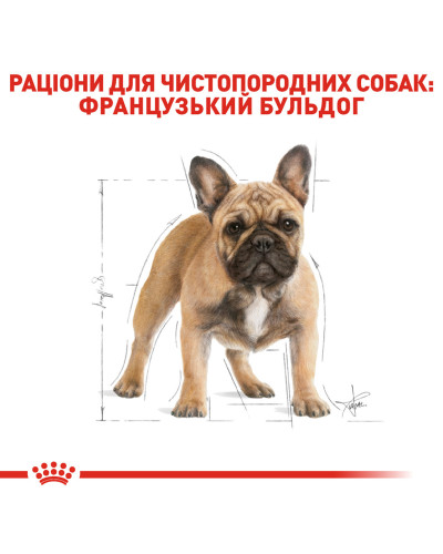 Корм для дорослих собак породи Французький бульдог ROYAL CANIN FRENCH BULLDOG ADULT 3 кг