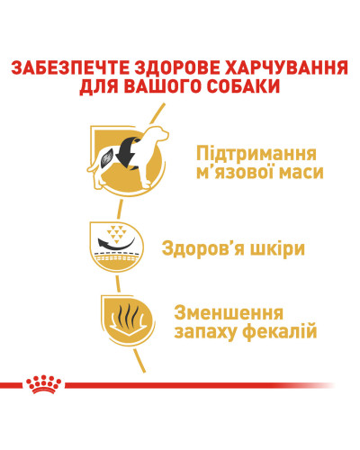Корм для дорослих собак породи Французький бульдог ROYAL CANIN FRENCH BULLDOG ADULT 3 кг
