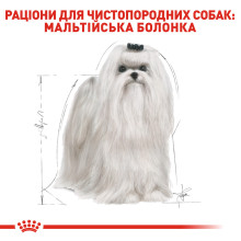 Корм для взрослых собак породы Мальтийская болонка ROYAL CANIN MALTESE ADULT 500 г