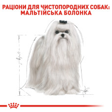 Корм для взрослых собак ROYAL CANIN MALTESE ADULT 1.5 кг